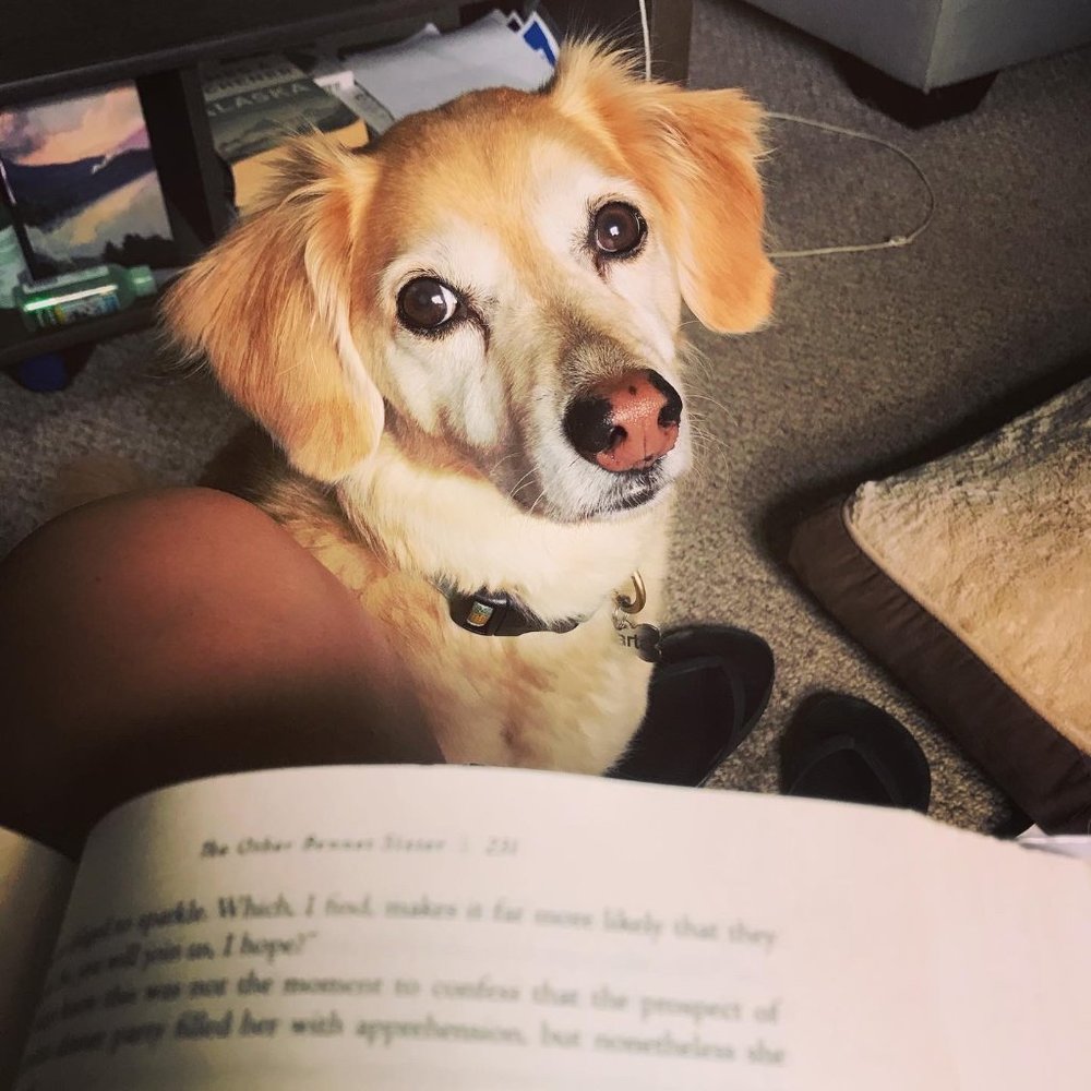 Meet your Posher, Maura